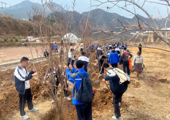 微信截图_20230312155228.png