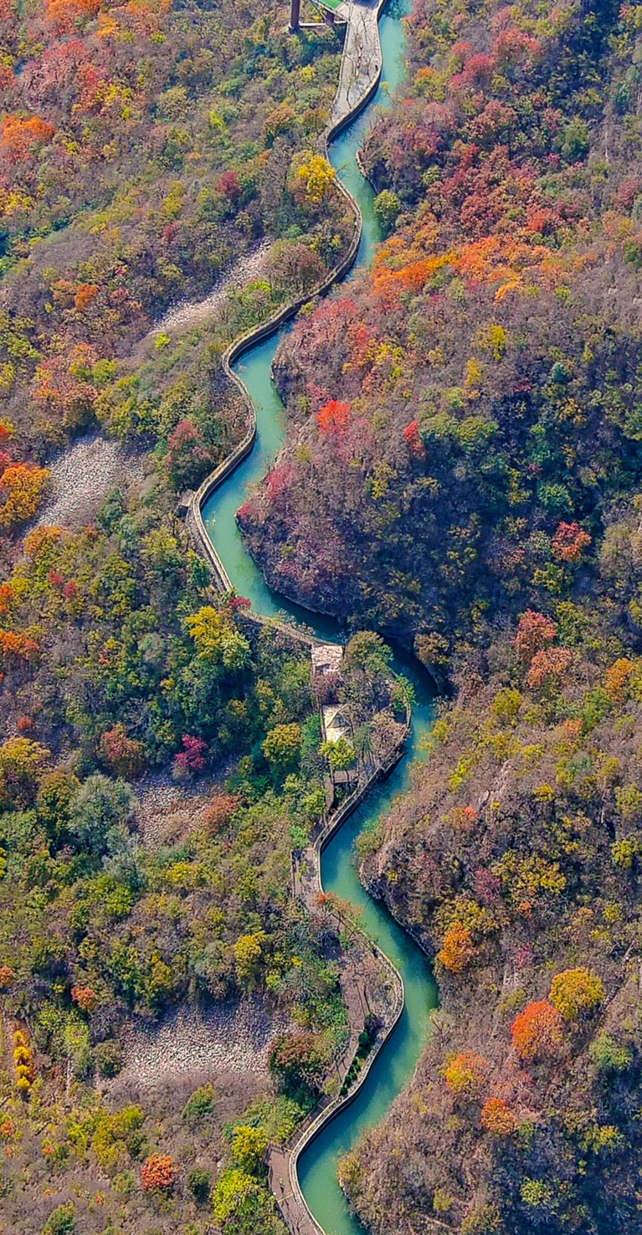 微信图片_2025-10-31_095810_080