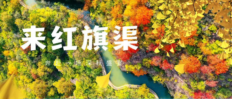 微信图片_2025-11-13_152853_307