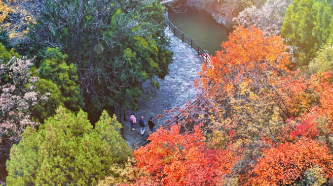 ScreenShot_2025-11-13_153312_019