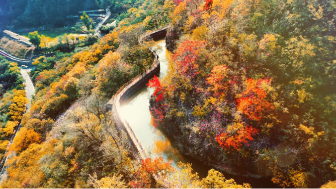 ScreenShot_2025-11-13_153342_021