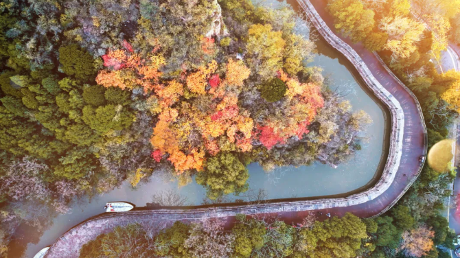 ScreenShot_2025-11-13_153411_861