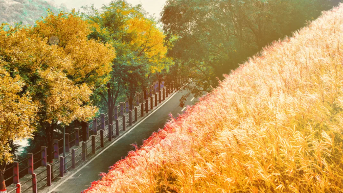 ScreenShot_2025-11-13_153518_909