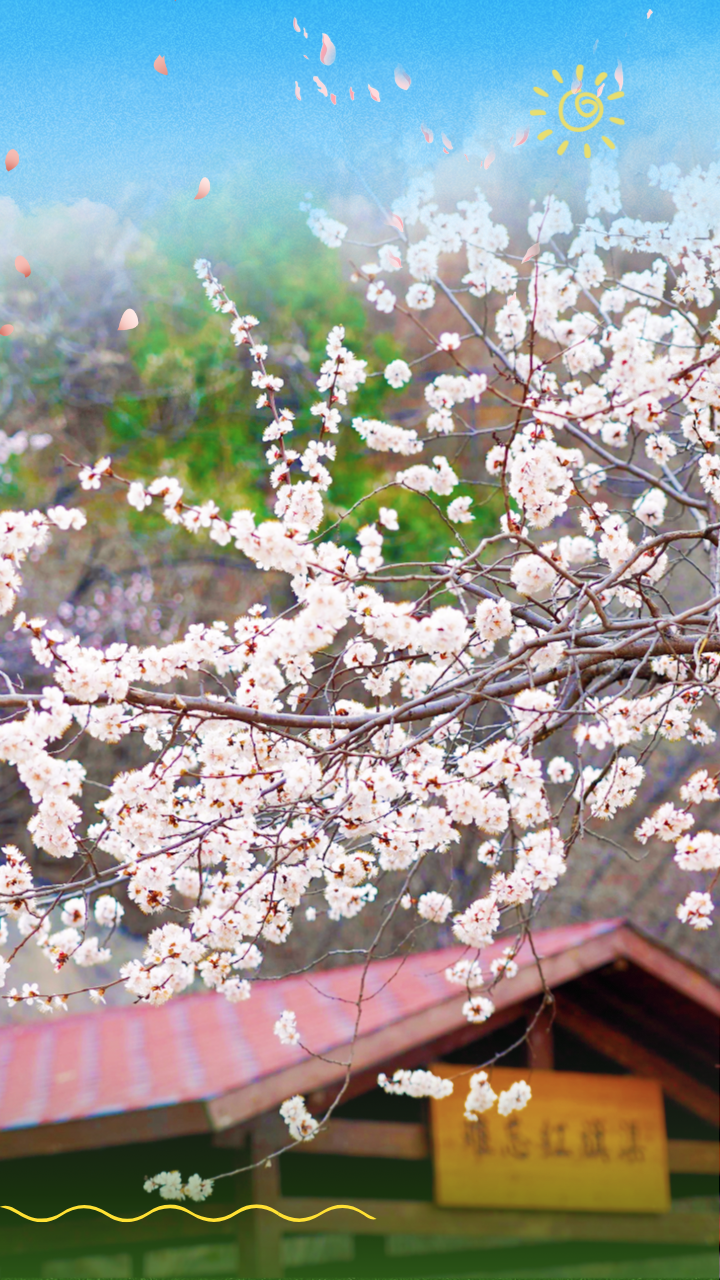 微信图片_2026-02-27_083808_479